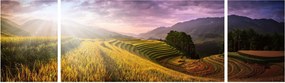 Obraz krajobrazu (170x50 cm)