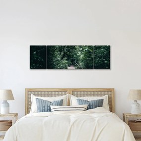 Obraz - Ścieżka przez las (170x50 cm)