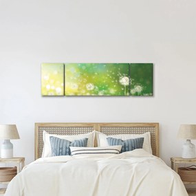 Obraz - Kwitnące mlecze (170x50 cm)