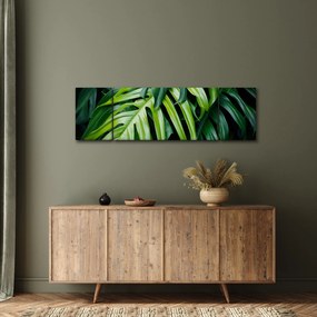 Obraz - Tropikalne liście (170x50 cm)