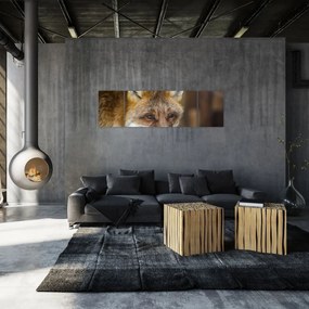 Obraz lisa (170x50 cm)
