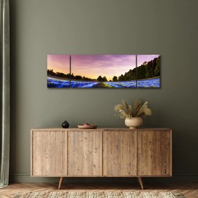 Obraz kolorowego pola (170x50 cm)