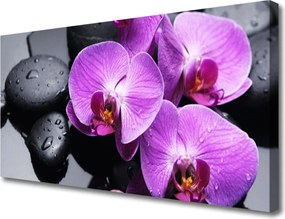 Fotoobraz na płótnie Elegancki Rozkwit Kwiatu