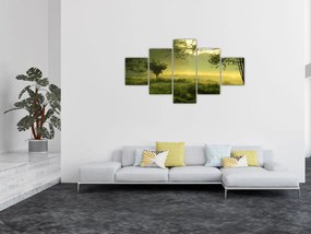 Obraz - Budzący się las (125x70 cm)