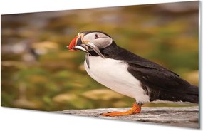 Panel Kuchenny Szklany Portret Barwnej Papugi