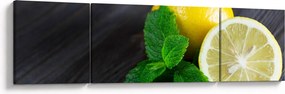 Obraz cytryn i mięty na stole (170x50 cm)