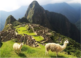 Obraz - Machu Picchu (70x50 cm)