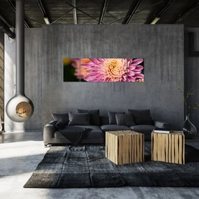 Szczegółowy obraz kwiatu (170x50 cm)