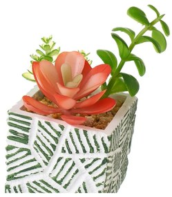 Sztuczne rośliny zestaw 3 szt. (wysokość 12 cm) Cactus – Casa Selección