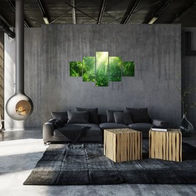 Obraz - Las deszczowy (125x70 cm)