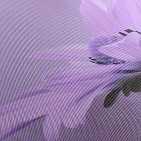 Obraz - Fioletowy kwiat (170x50 cm)
