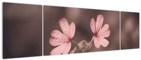 Obraz kwiatu róży (170x50 cm)