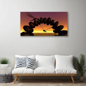 Duży obraz na płótnie Taniec Ważek nad Wodą