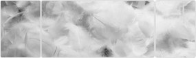 Obraz - Chmury piór (170x50 cm)