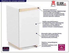 Skandynawska szafka pod biurko komputer W8-Z58