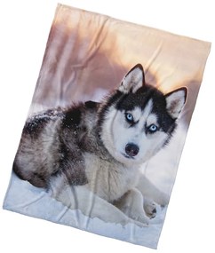 BedTex Koc mikroplyšowy Pes Sibiřský Husky, 150 x200 cm
