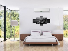 Obraz - Altówka (125x70 cm)
