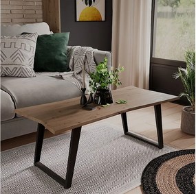 Stolik kawowy rzemieślnik 110x50x40 yan