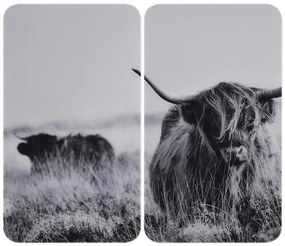 Płyty ochronne na kuchenkę ze szkła hartowanego zestaw 2 szt. 30x52 cm Universal Highland Cattle – Wenko
