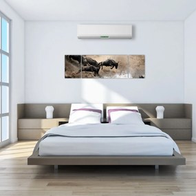 Obraz - Stado antylop gnu (170x50 cm)