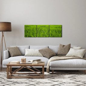 Obraz trawy (z zegarem) (90x30 cm)