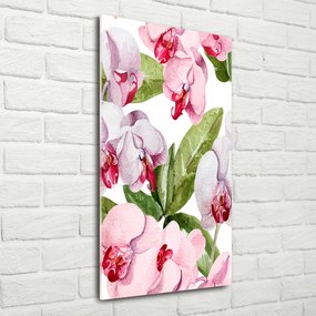 Foto-obraz szkło hartowane pionowy Orchidea