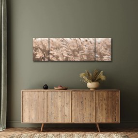 Obraz - Łąkowy wianek (170x50 cm)