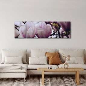 Obraz - Magnolia (170x50 cm)