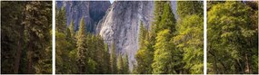 Obraz - Pod Yosemite Rock (170x50 cm)