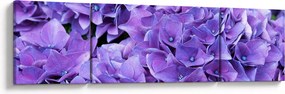 Obraz fioletowych kwiatów (170x50 cm)