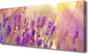 Obraz canvas Pełnia Letniego Rozkwitu