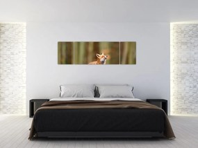 Obraz - Lis (170x50 cm)