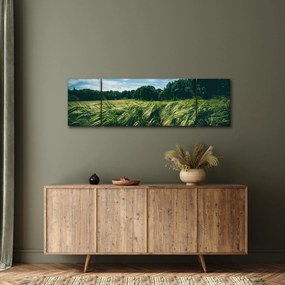 Obraz łąki i lasu (170x50 cm)