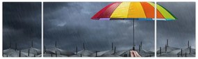 Obraz - Parasole (170x50 cm)