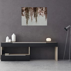 Obraz - Rośliny (70x50 cm)