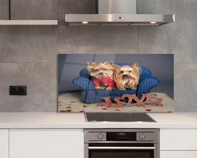 Szklany Panel Urocze Pieski Rasy York