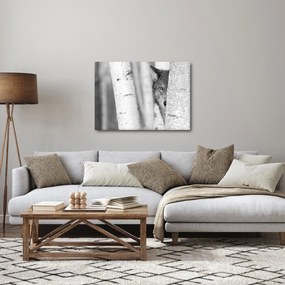 Obraz - Wilk w lesie (70x50 cm)