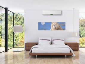 Obraz - Biały lew (170x50 cm)