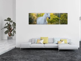 Obraz białego konia na łące (170x50 cm)
