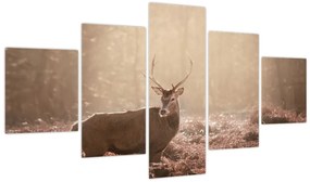 Obraz - Jeleń w lesie (125x70 cm)