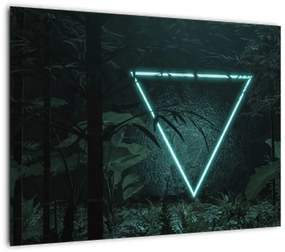 Obraz na szkle - Neonowy trójkąt w dżungli (70x50 cm)
