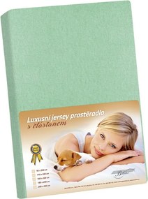Bellatex Prześcieradło z elastanem Jersey, jasnozielony