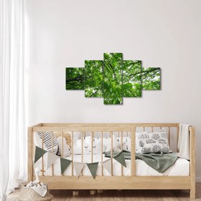 Obraz - Widok do korony drzewa (125x70 cm)
