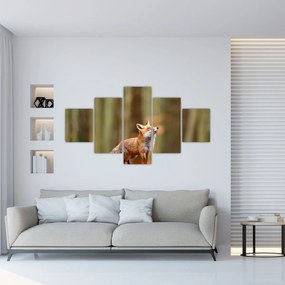 Obraz - Lis (125x70 cm)