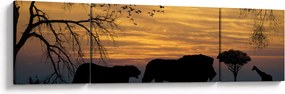 Obraz Safari (170x50 cm)