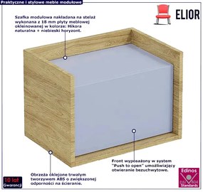 Szafka modułowa hikora + niebieski horyzont - Afilia 7X