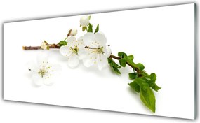 Szkło do Kuchni na Ścianę Kwitnąca Gałązka Natury