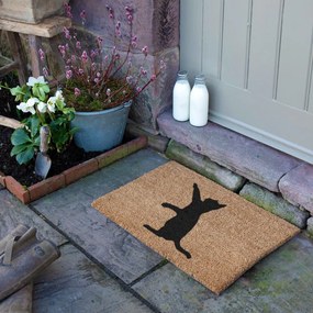 Wycieraczka z włókna kokosowego 40x60 cm Cat – Artsy Doormats