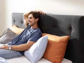 DORMEO DOLCE PRO BED FRAME CLASSIC HS1