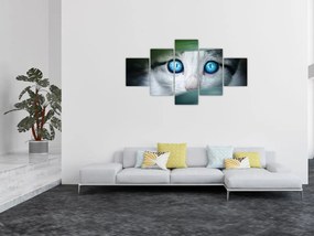 Obraz kota (125x70 cm)